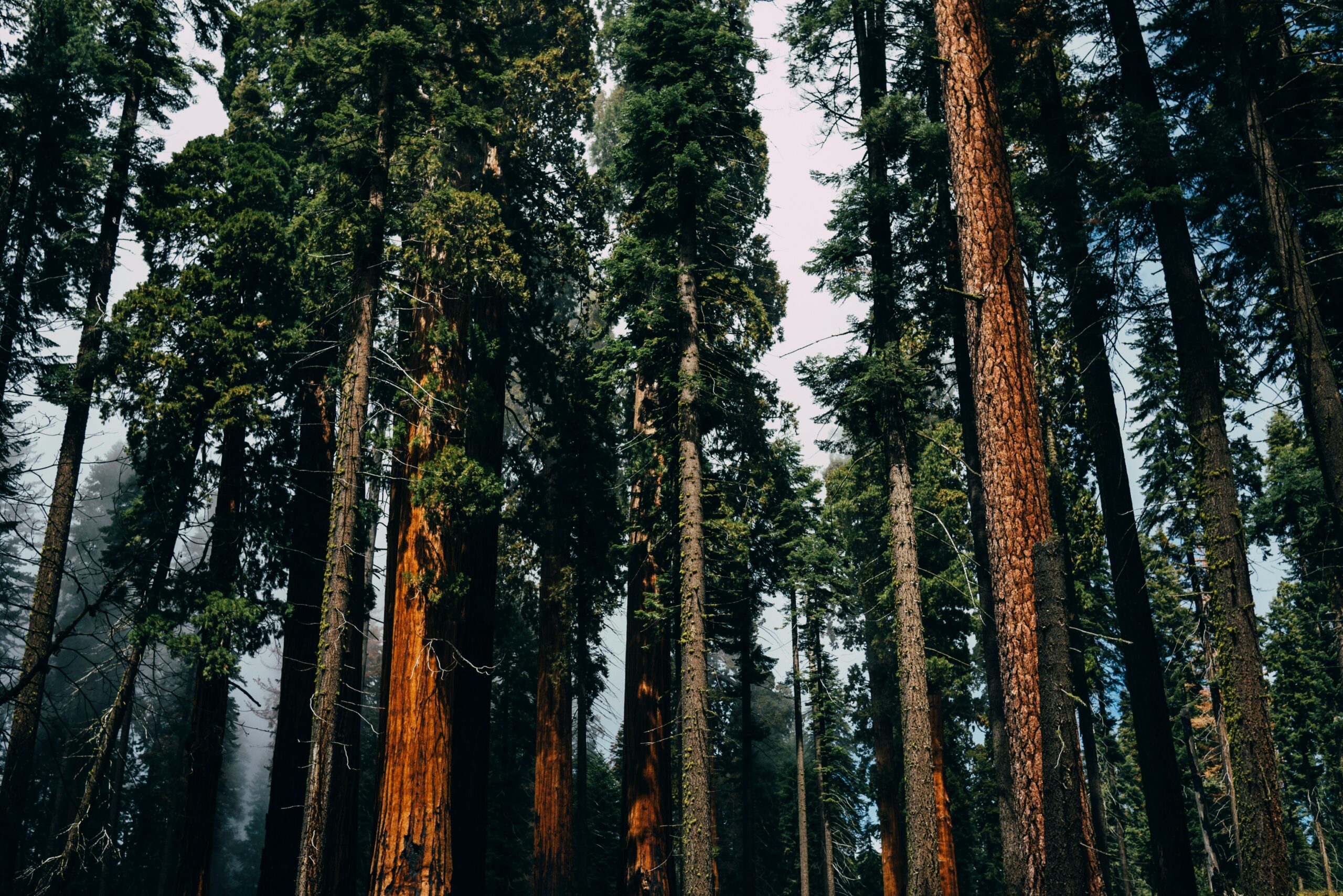 Churn Autopsy: What 20+ SaaS Companies Missed Before Losing Customers